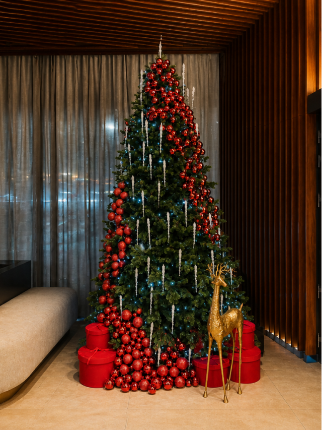 Le Express de Noël · Premium Plaza GTC