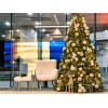 Éclat de Noël · închiriere Christmas Corner auriu