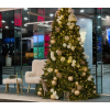 Le Express de Noël · Premium Plaza GTC