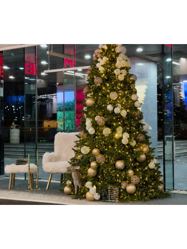 Le Express de Noël · Premium Plaza GTC