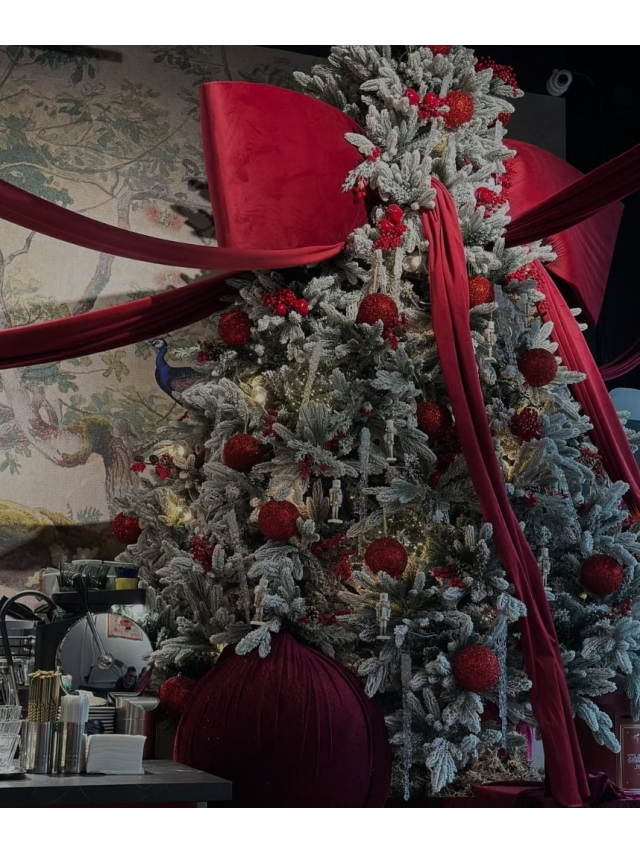 Le Express de Noël · Premium Point GTC