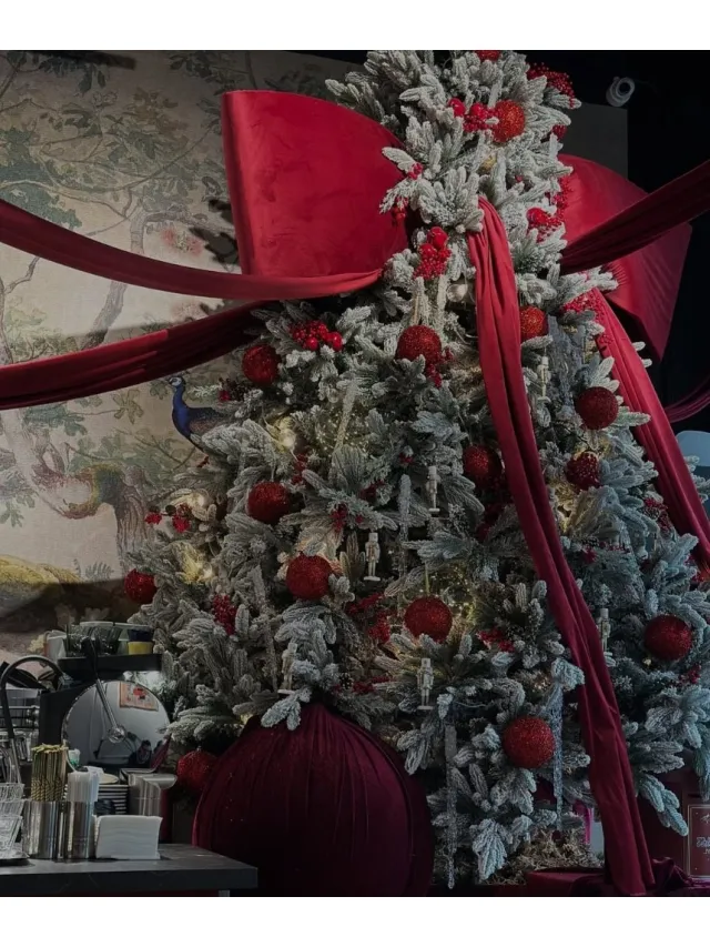 Le Express de Noël · Premium Point GTC