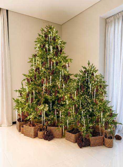 Forêt d'Hiver, Imobil privat Nusco Homes Tunari