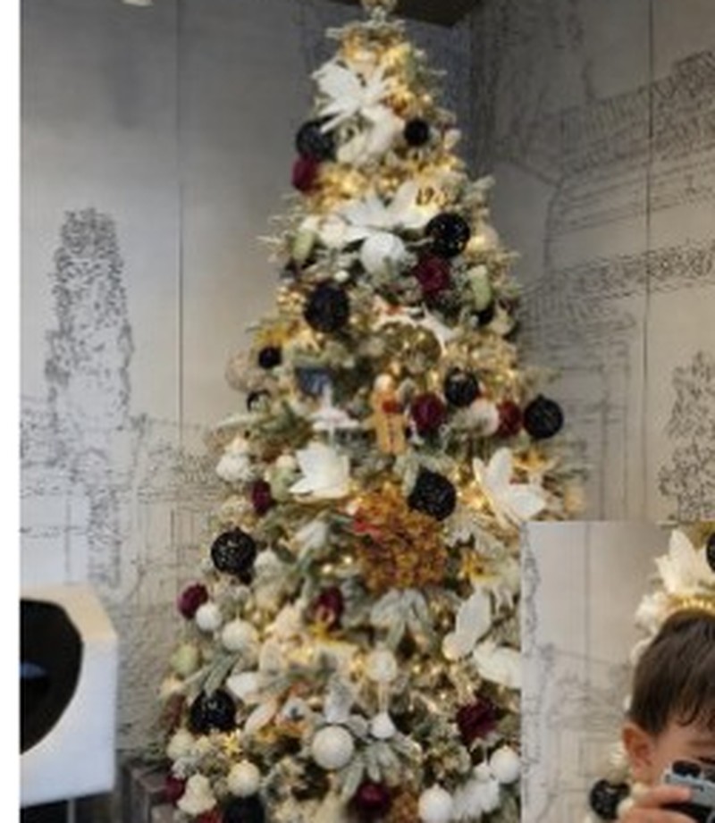 Le Noël de Vladimir, Opera Center I